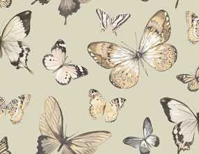 Обои Butterflies Chelsea Lane Collection JB60308